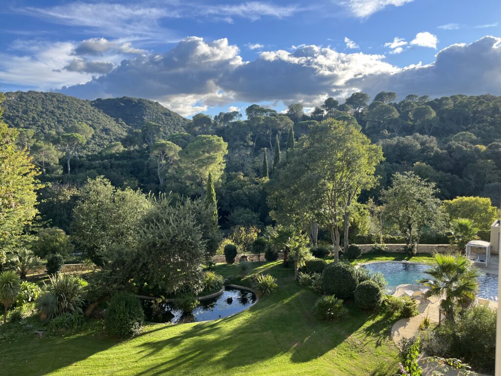 Le Parc vue du haut de la tour 